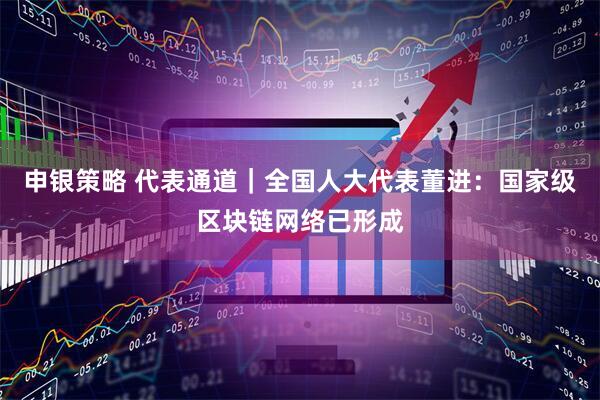 申银策略 代表通道｜全国人大代表董进：国家级区块链网络已形成
