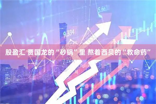 股盈汇 贾国龙的“砂锅”里 熬着西贝的“救命药”