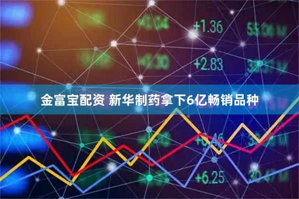金富宝配资 新华制药拿下6亿畅销品种