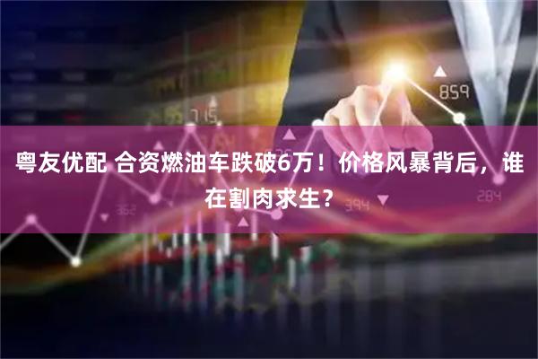 粤友优配 合资燃油车跌破6万！价格风暴背后，谁在割肉求生？