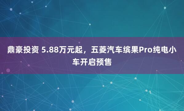 鼎豪投资 5.88万元起，五菱汽车缤果Pro纯电小车开启预售