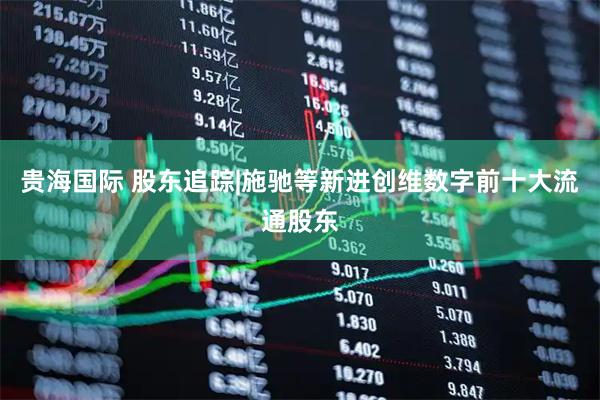 贵海国际 股东追踪|施驰等新进创维数字前十大流通股东
