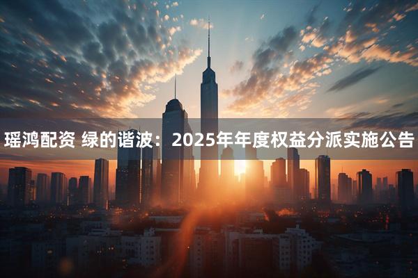 瑶鸿配资 绿的谐波：2025年年度权益分派实施公告