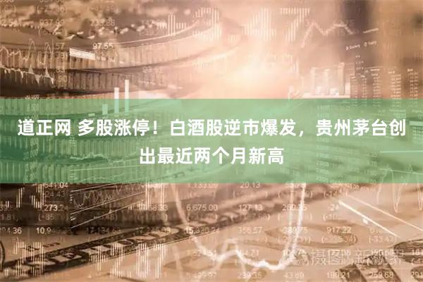 道正网 多股涨停！白酒股逆市爆发，贵州茅台创出最近两个月新高