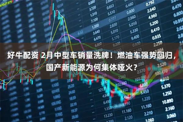 好牛配资 2月中型车销量洗牌！燃油车强势回归，国产新能源为何集体哑火？