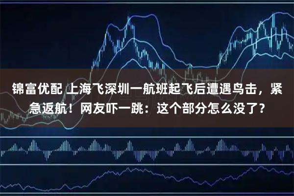 锦富优配 上海飞深圳一航班起飞后遭遇鸟击，紧急返航！网友吓一跳：这个部分怎么没了？