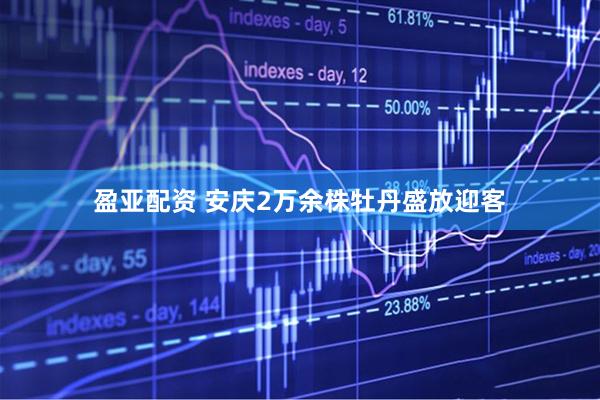 盈亚配资 安庆2万余株牡丹盛放迎客