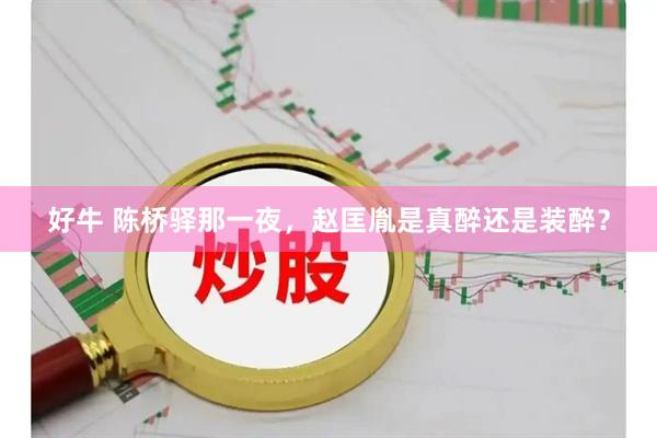 好牛 陈桥驿那一夜，赵匡胤是真醉还是装醉？