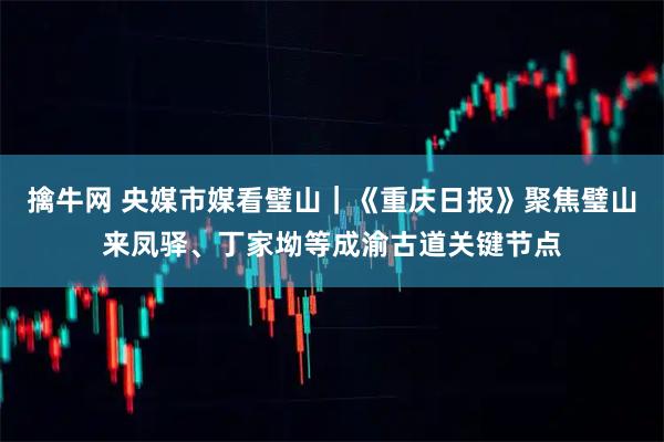 擒牛网 央媒市媒看璧山｜《重庆日报》聚焦璧山来凤驿、丁家坳等成渝古道关键节点
