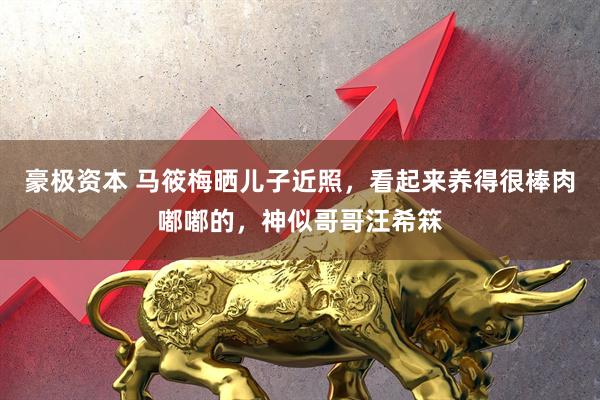 豪极资本 马筱梅晒儿子近照，看起来养得很棒肉嘟嘟的，神似哥哥汪希箖