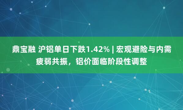 鼎宝融 沪铝单日下跌1.42% | 宏观避险与内需疲弱共振，铝价面临阶段性调整
