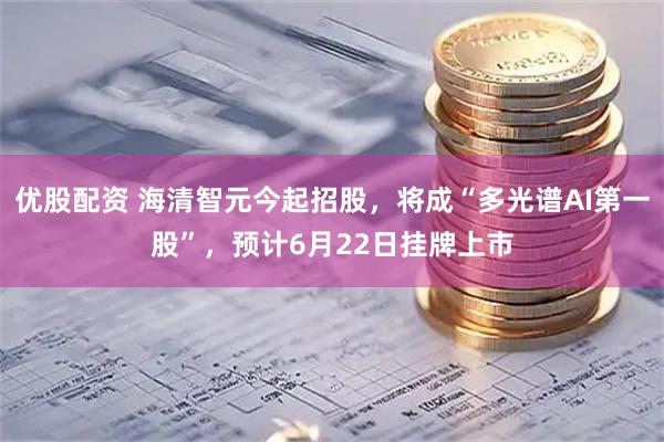 优股配资 海清智元今起招股，将成“多光谱AI第一股”，预计6月22日挂牌上市