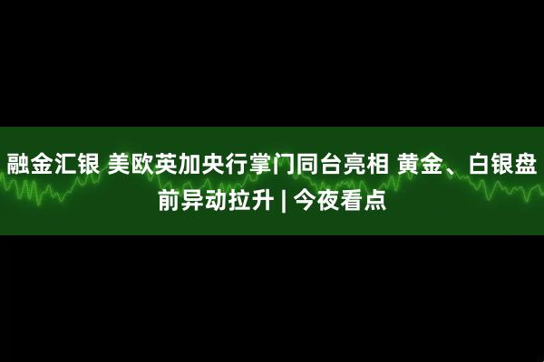 融金汇银 美欧英加央行掌门同台亮相 黄金、白银盘前异动拉升 | 今夜看点