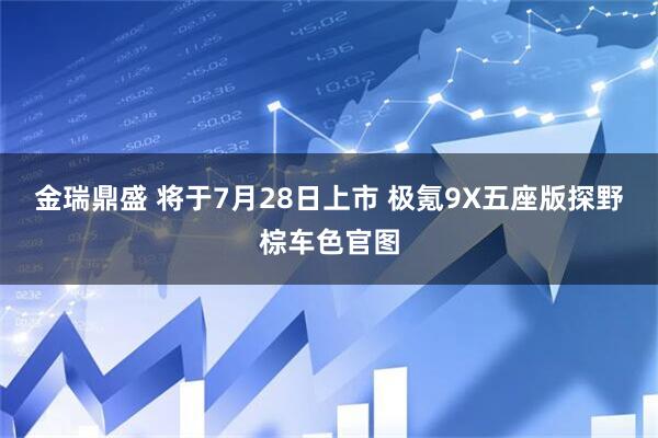 金瑞鼎盛 将于7月28日上市 极氪9X五座版探野棕车色官图