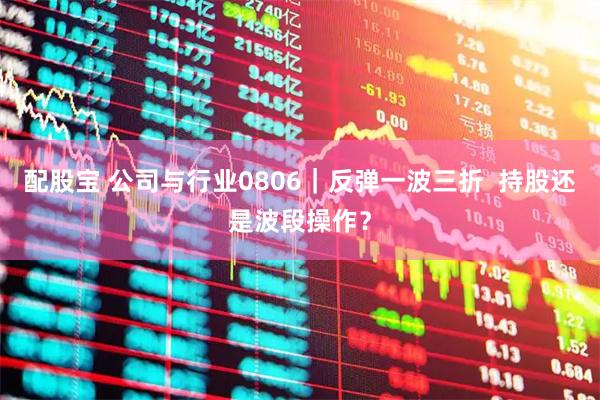 配股宝 公司与行业0806｜反弹一波三折  持股还是波段操作？